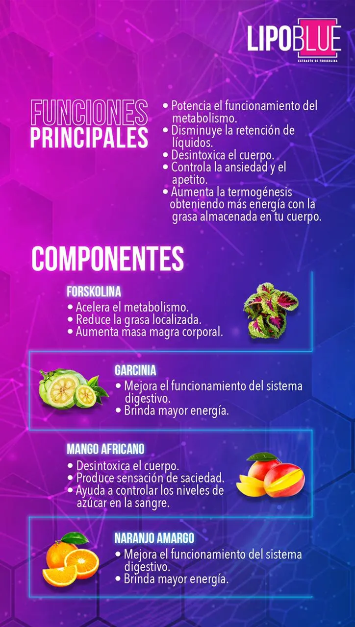 Lipoblue Clásico — imagen 4